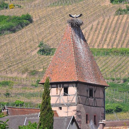 Gite Du Vignoble Ammerschwihr Exterior photo